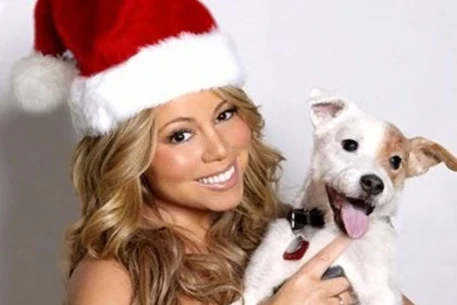 Где будут звёзды на Новый год