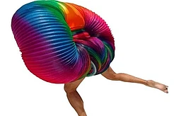 Самый дорогой карнавальный костюм выставлен на продажу за 1 миллион долларов