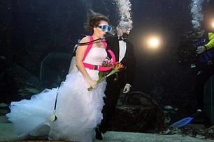 Успех тематической свадьбы