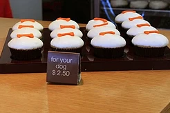 Роберт Паттинсон наелся собачьей еды