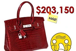 Самые дорогие сумочки от Hermès Birkin