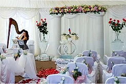 Недорогая организация и проведение свадеб