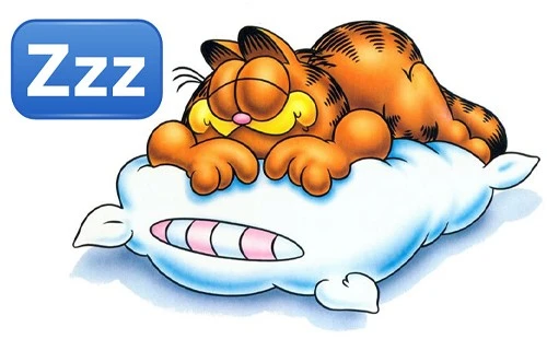 Как провести в комфорте 25 лет своей жизни