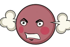 Гнев – плохой советчик