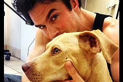 Йен Сомерхолдер спас собаку