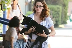 Учёбы слух: Кристен Стюарт поступила в университет