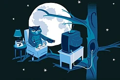 У «сов» вредный характер