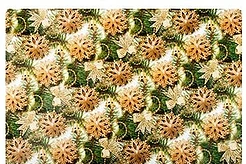 Готовимся к новогодним праздникам