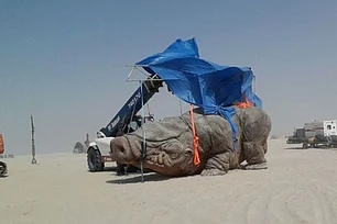 Первые фото со съёмок новых Звёздных войн