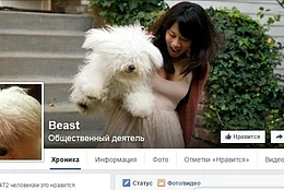 Самые знаменитые собаки Интернета