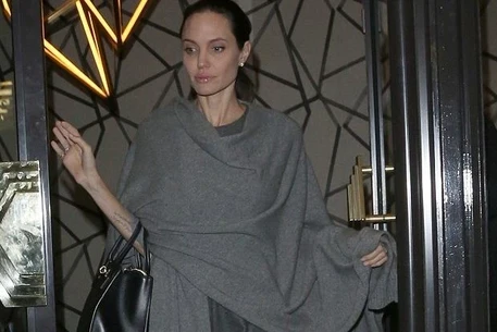 Анджелина Джоли встретилась за ужином с британским политиком