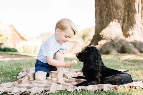 Принц Уильям и Кейт Миддлтон показали новые фотографии сына