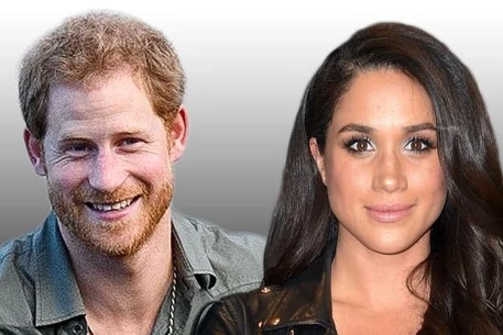 Принц Гарри и Меган Маркл вместе купили рождественскую ёлку