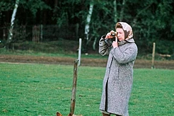 Британская королева купила щенка корги по интернету