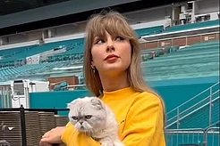 Возвращение в офис: Тейлор Свифт в Майами