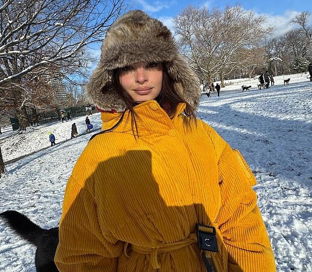 Эмили провела время с сыном от бывшего мужа Себастьяна Беар-МакКларда