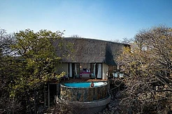 Рождественское сафари Марты Стюарт