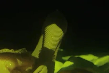 Кайли Миноуг приземлилась в Австралии и готова зажечь