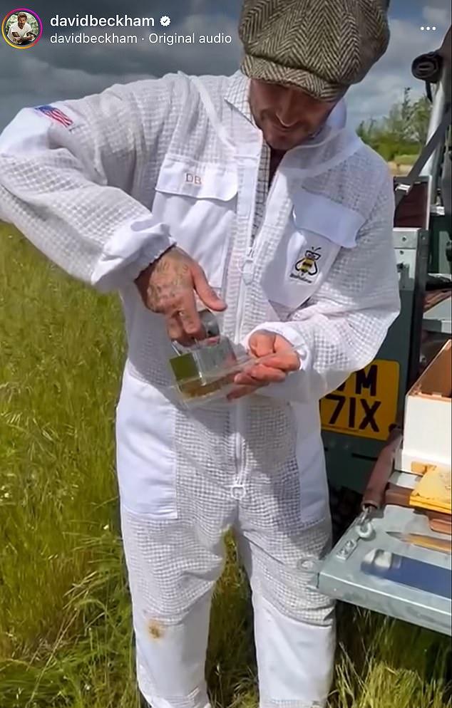 Давняя идея возникла после увлечения Давида пчеловодством и медом, который жена Виктория зовет "Дэвидова липучка".