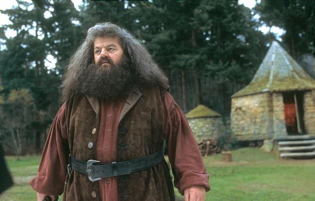 Джоан Роулинг подтвердила свое участие в написании сценариев для телесериала о Гарри Поттере