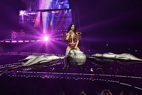 Кэти Перри продемонстрировала травмы после того, как опустилась на колени, чтобы помочь потерявшей сознание фанатке