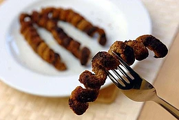 Джейми Оливер ответил критикам, обвиняющим его в изъятии Turkey Twizzlers из школьного меню по всей стране, спустя 20 лет после того, как его серия передач на Channel 4 «Школьные обеды Джейми» добилась запрета этого популярного мясного полуфабриката