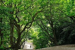 Соседи Гарри Стайлса обеспокоены строительством его мега-особняка за £30 млн