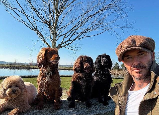 Давид делится вдохновением в грядущем номере Country Life, к 50-летию которого он стал приглашенным редактором.