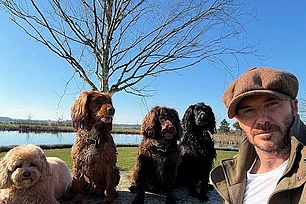 Дэвид Бекхэм признался, что вдохновился загородным образом жизни, увидев, как «современный первобытный человек» Гай Ричи любит природу