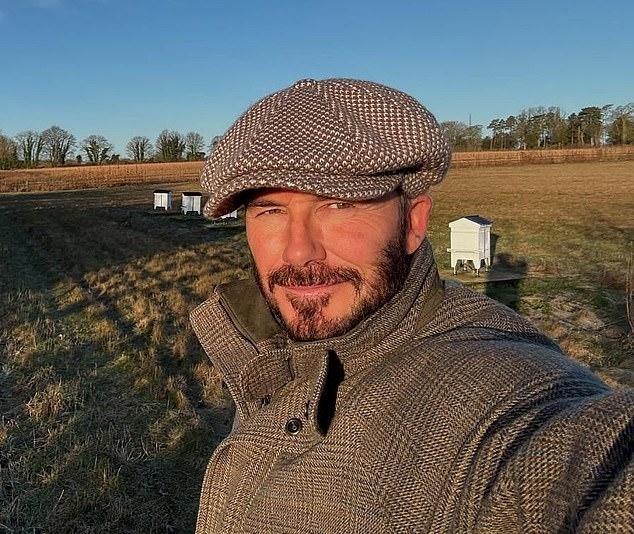 Дэвид Бекхэм признался: на сельский образ жизни его вдохновил «современный пещерный человек» Гай Ричи, увлеченный природой.