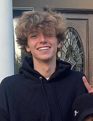 Федерлайн утверждал, что его сыновья, Шон Престон (20) и Джейден Джеймс (19), "в ужасе", и один из них опасается, что "мама умрет".