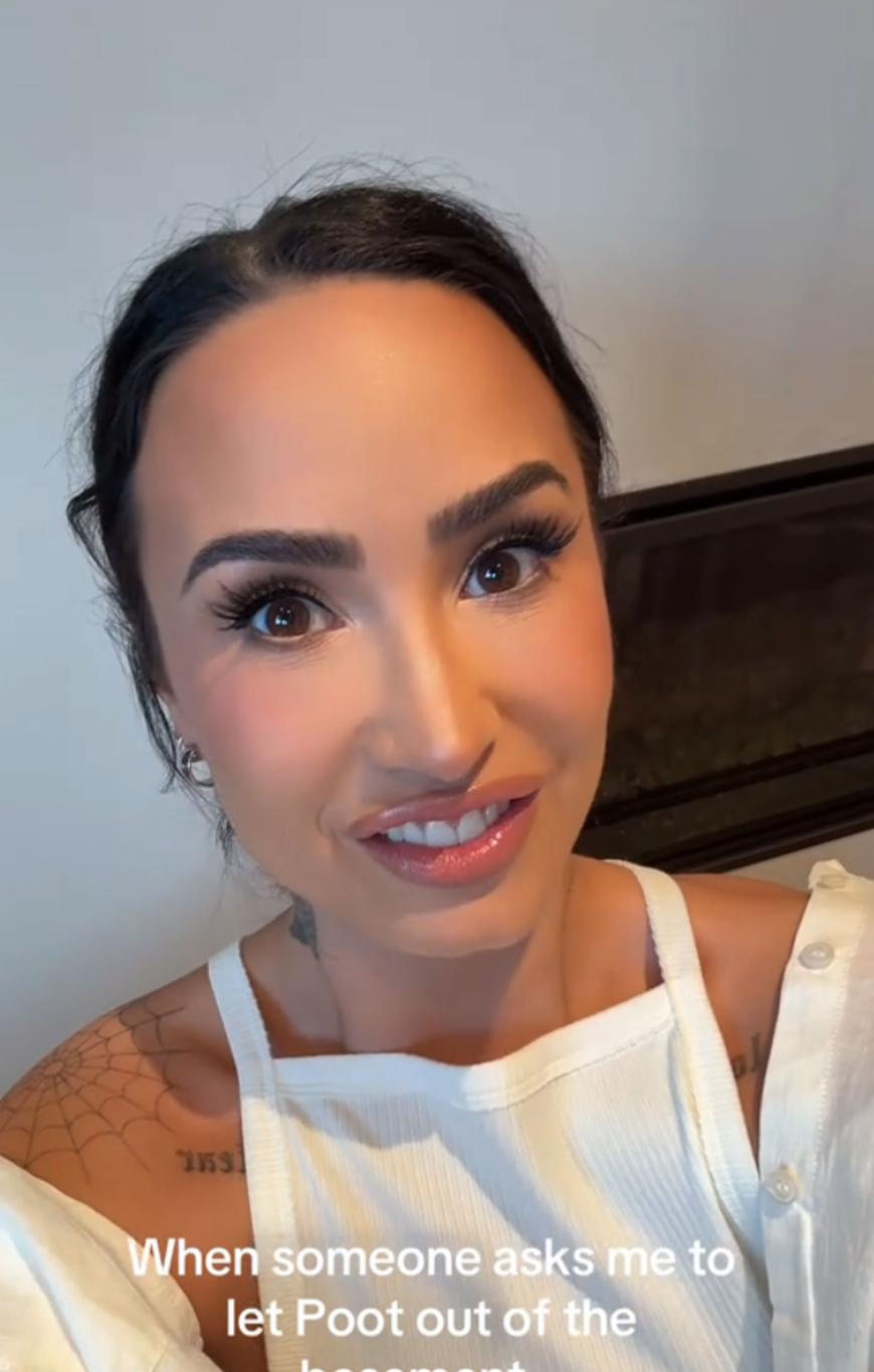 Деми Ловато смотрит в камеру. Надпись: «Когда меня просят выпустить Пут из подвала...»