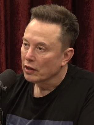 Илон Маск сегодня