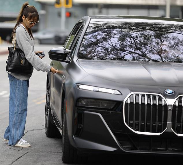 Неясно: брюнетка, севшая в его машину, знает его по работе, или у них более личные связи.