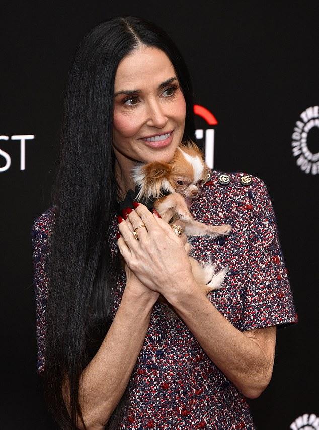 С улыбкой она несла микро-чихуахуа. Ранее вечером её заметили и с Пилафом.