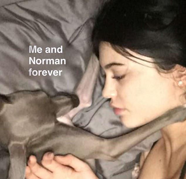 Кайли Дженнер представила нового члена семьи