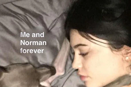 Кайли Дженнер представила нового члена семьи