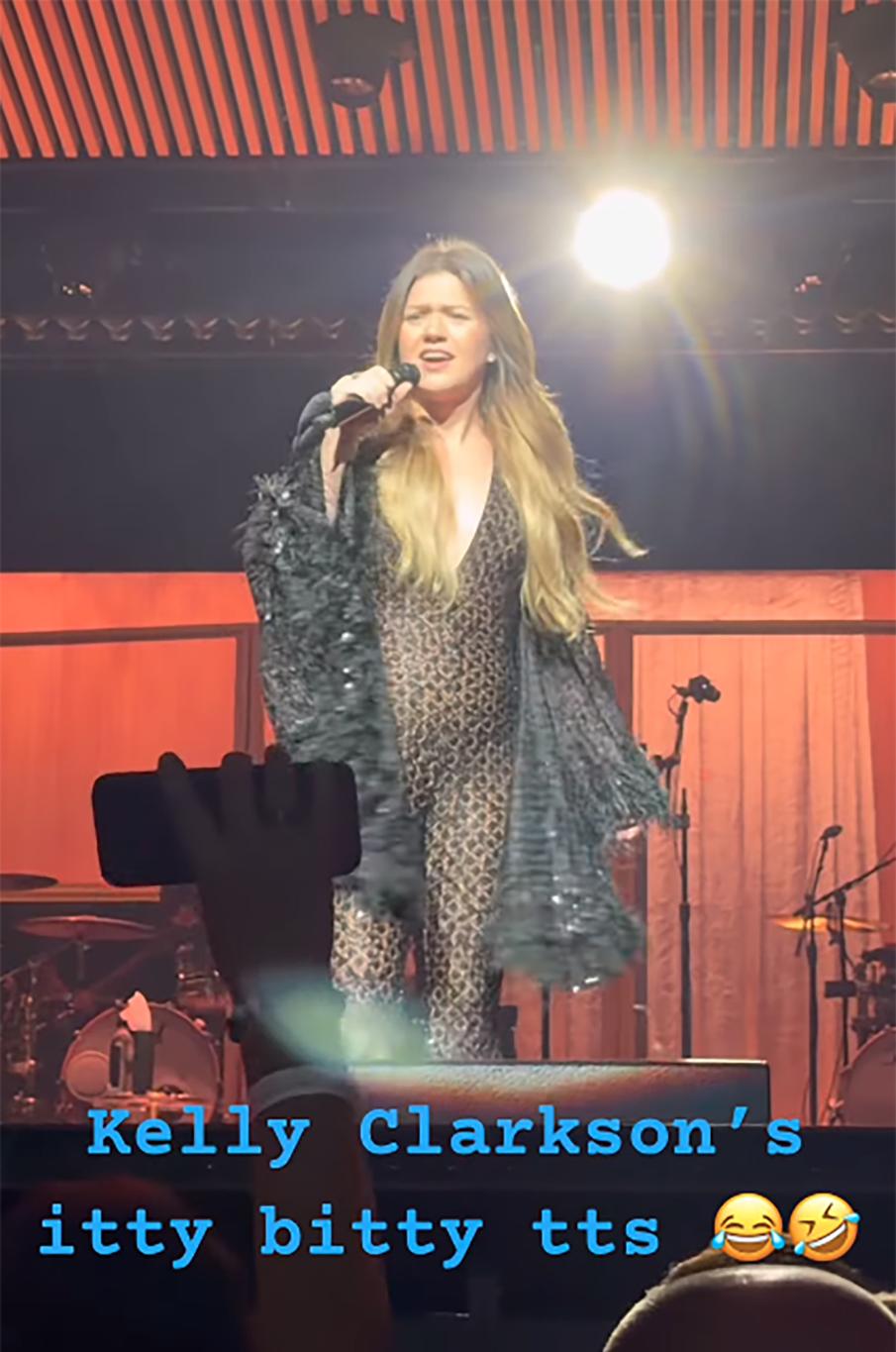 Келли Кларксон выступает на сцене в леопардовом комбинезоне и черном жакете с пайетками, с микрофоном в руке.