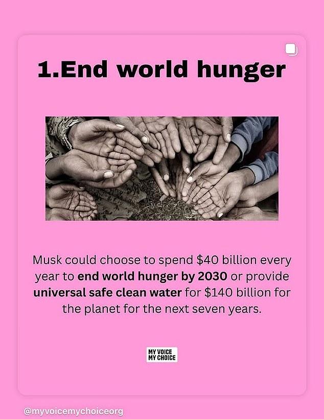 На каждом слайде — идеи, что Илон Маск мог бы профинансировать своим несметным богатством.