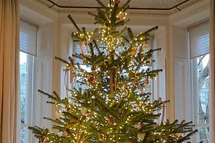 Будь честной: Виктория Бекхэм украсила новогоднюю ёлку