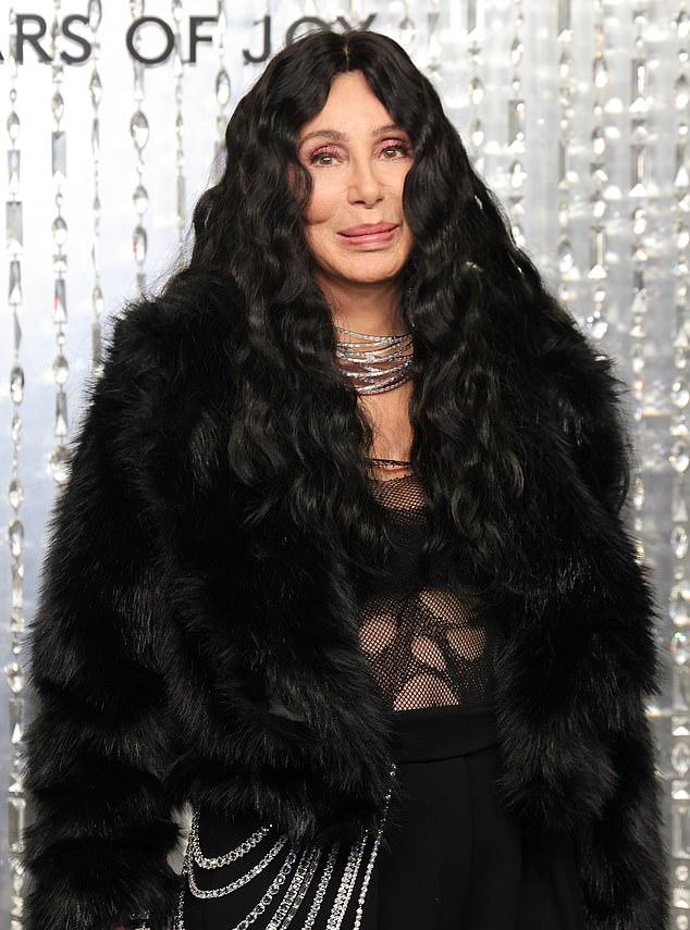 По данным The Sun, Шер, запечатленная 28 октября в ЛА, ведет переговоры с Netflix о сериале о своей жизни и карьере.