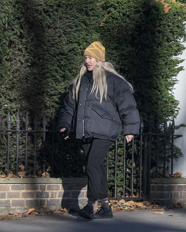 Эксклюзивные фото вызвали предположения, что у пары планы шире, чем просто выпуск музыки.