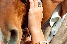 Ювелирные тренды 2026 года — года Огненной Лошади