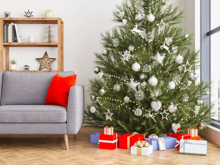 3 главных «НЕТ»: куда нельзя ставить живую новогоднюю ёлку