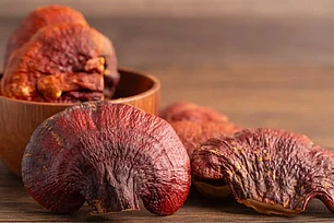 Гриб рейши что это такое