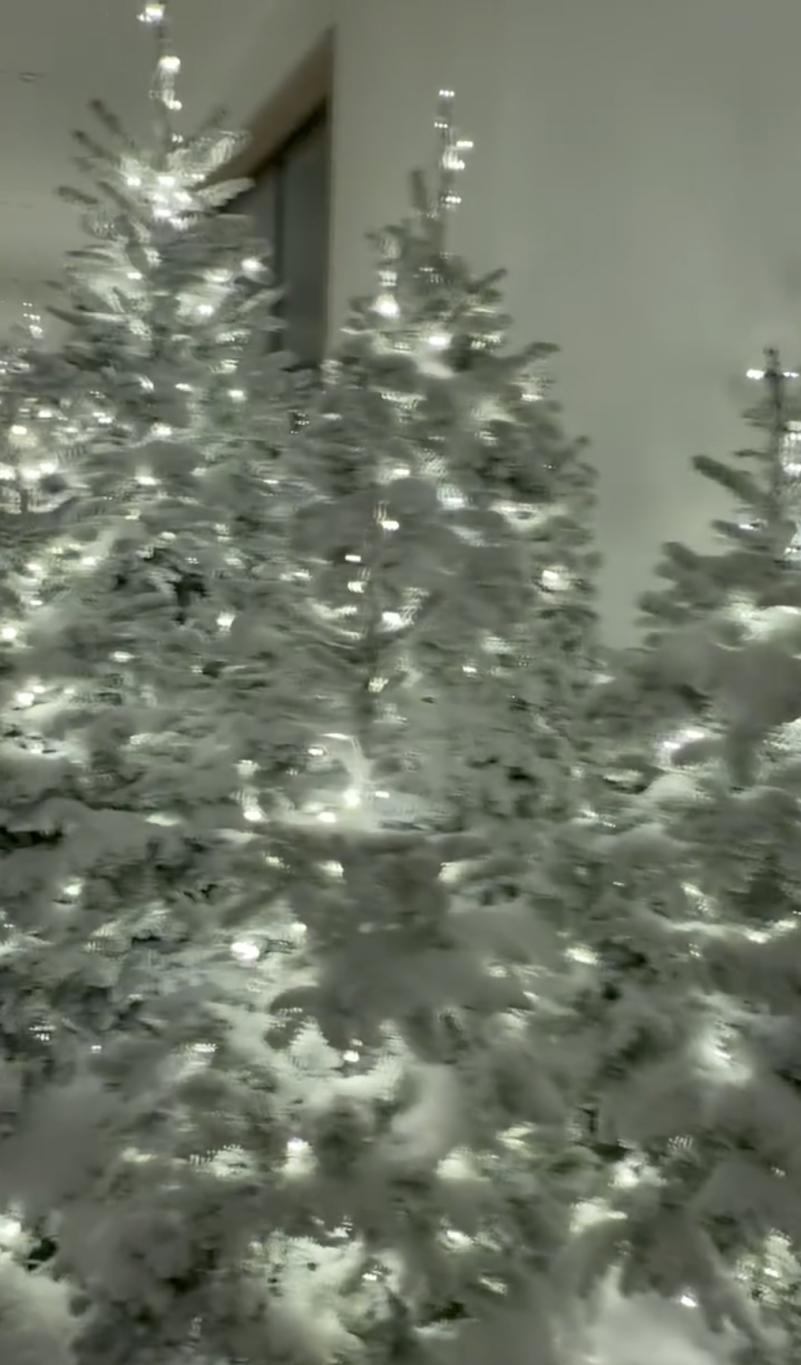 В коридоре — заснеженные ели, мерцающие белыми огоньками.