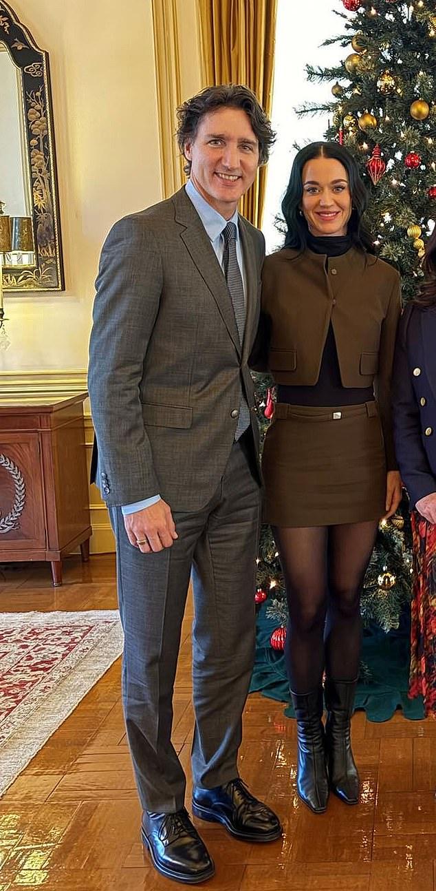 Перри быстро вызвала критику за «неуместную» мини-юбку, надетую на дипломатическую встречу, по мнению фанатов.