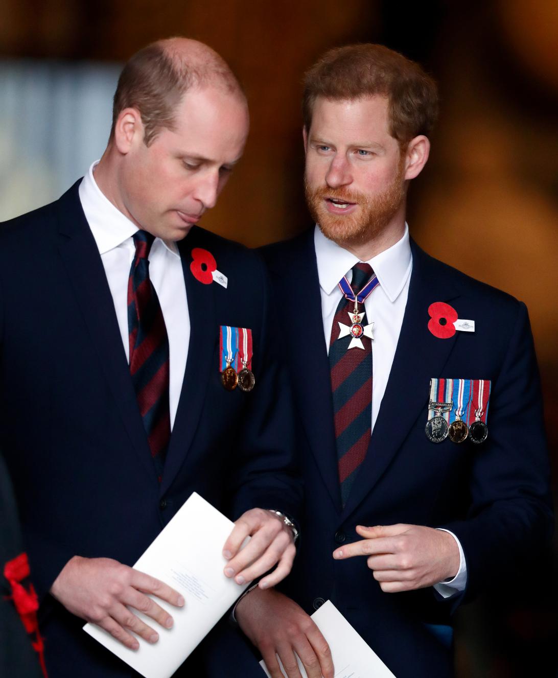 Принцы Уильям и Гарри, облаченные в военные галстуки и памятные медали.