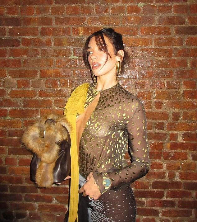 Дуа Липа произвела фурор, демонстрируя свою потрясающую фигуру в прозрачном топе