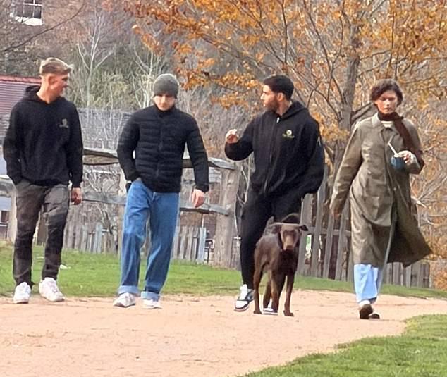 Зендея и Том Холланд отправились на прогулку в Ричмонд-парк, готовясь провести Рождество с его семьей